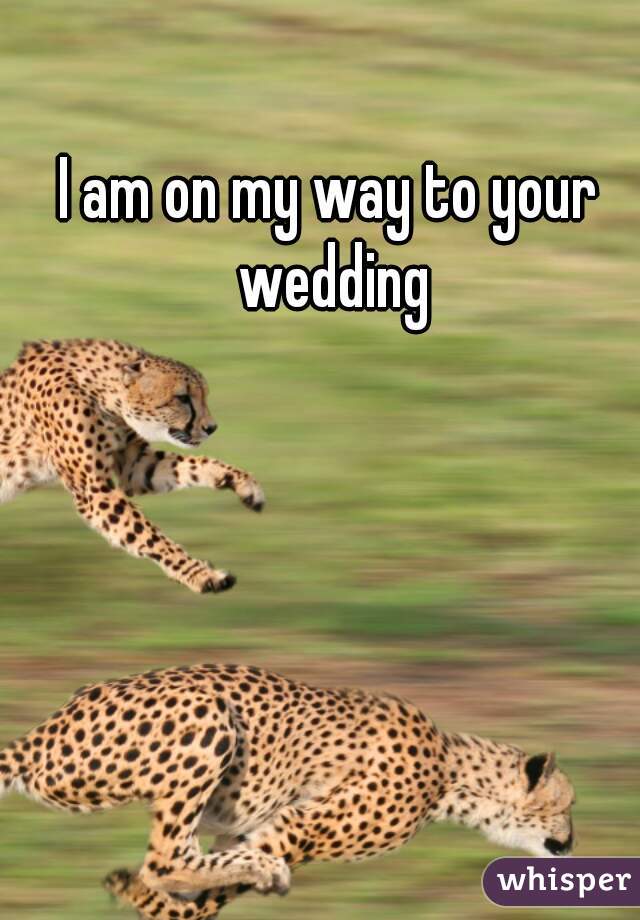 I am on my way to your wedding
