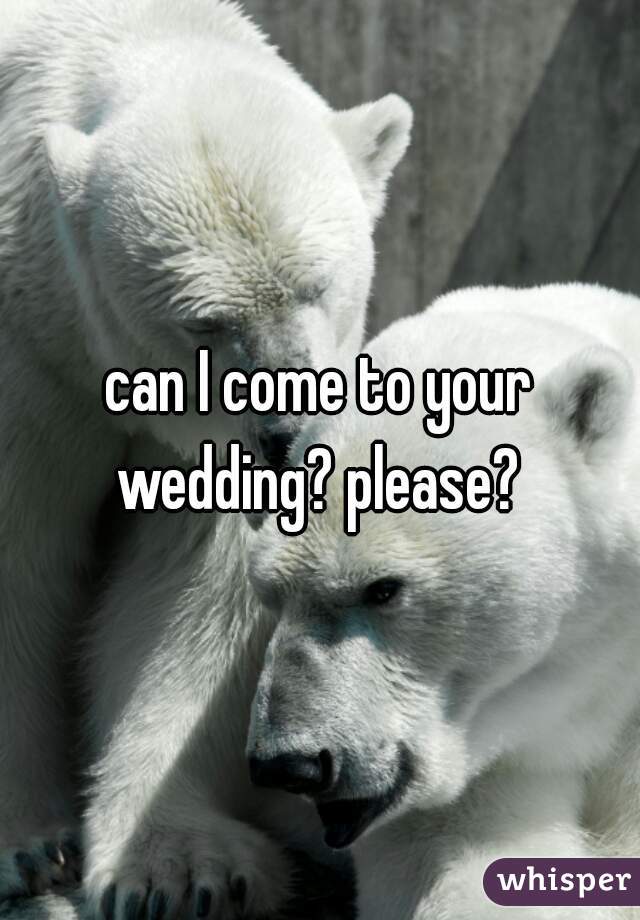 can I come to your wedding? please? 