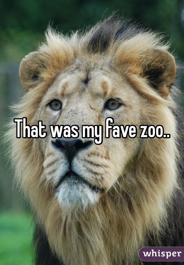 That was my fave zoo..