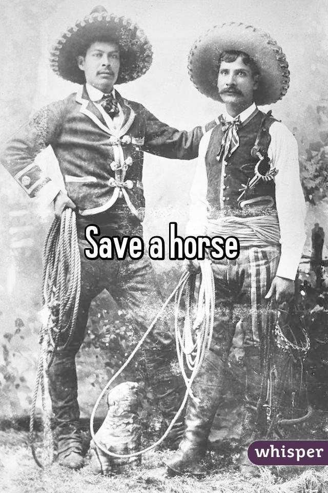 Save a horse 