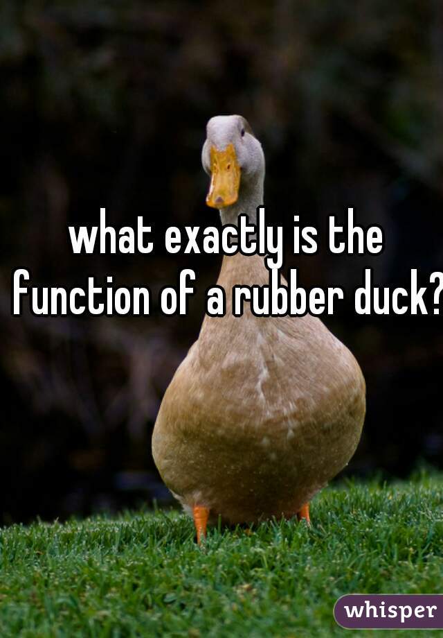 what-exactly-is-the-function-of-a-rubber-duck