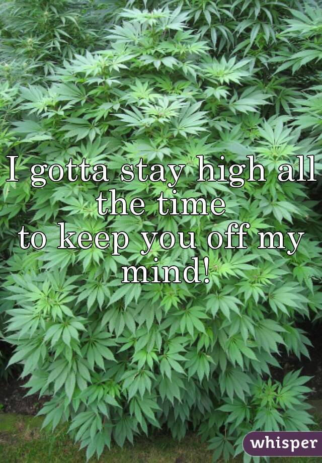 I gotta stay high all the time 
to keep you off my mind!