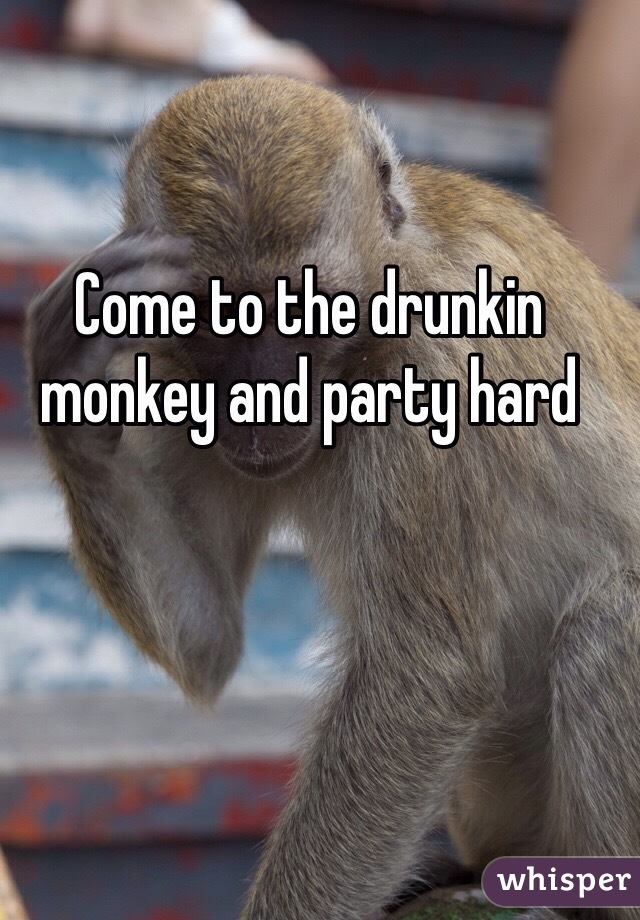Come to the drunkin monkey and party hard 