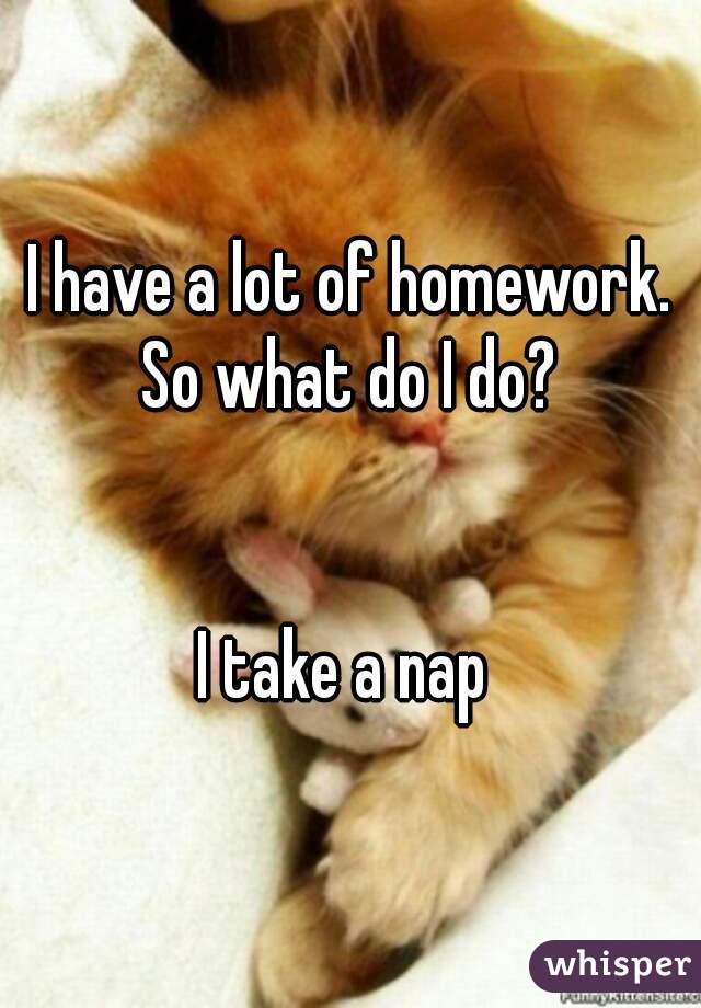 I have a lot of homework. So what do I do? 


I take a nap 