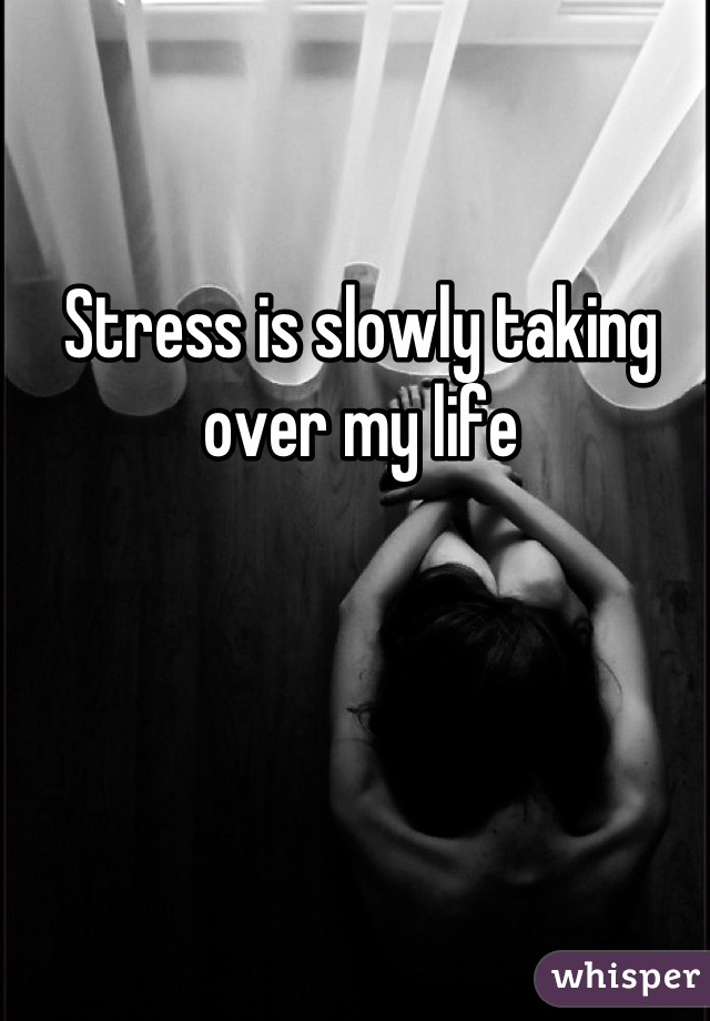 Stress is slowly taking over my life