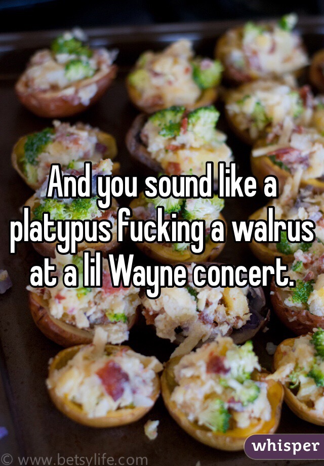 And you sound like a platypus fucking a walrus at a lil Wayne concert.