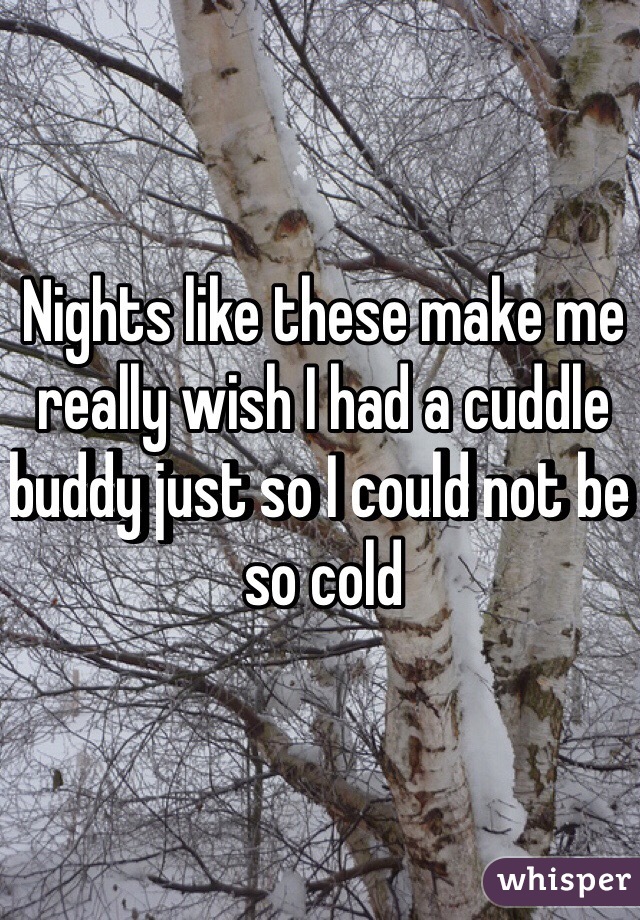 Nights like these make me really wish I had a cuddle buddy just so I could not be so cold 