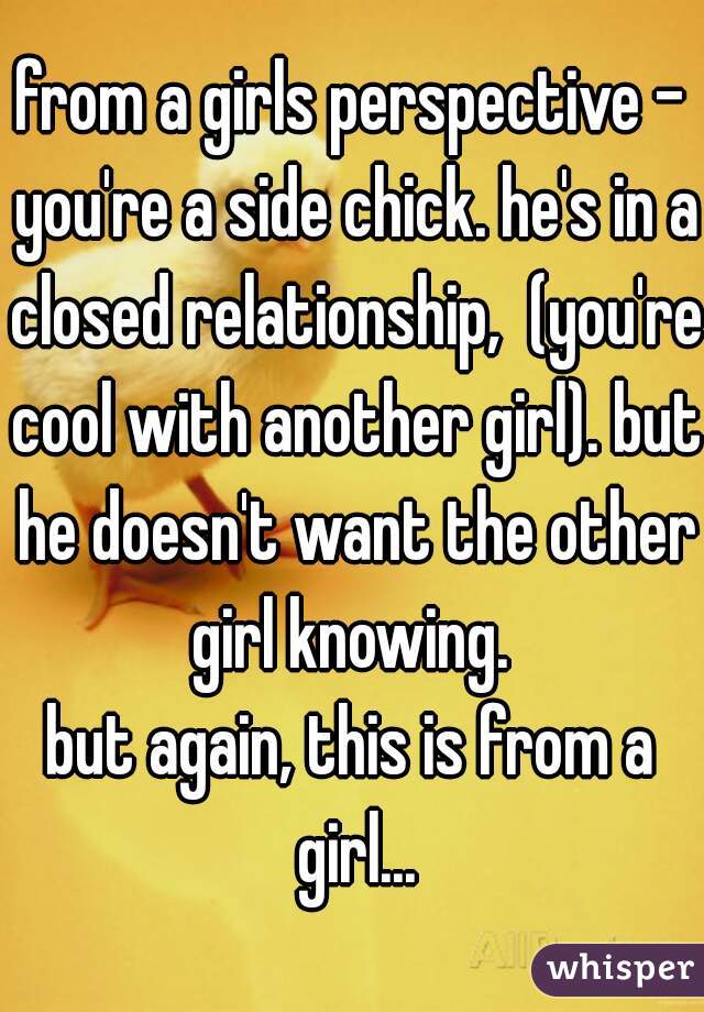 from a girls perspective - you're a side chick. he's in a closed relationship,  (you're cool with another girl). but he doesn't want the other girl knowing. 
but again, this is from a girl...