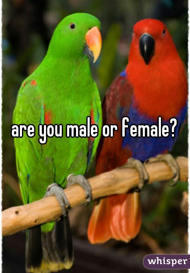 are you male or female?