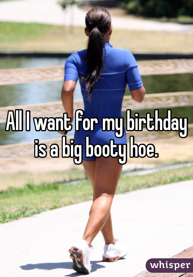 All I want for my birthday is a big booty hoe. 