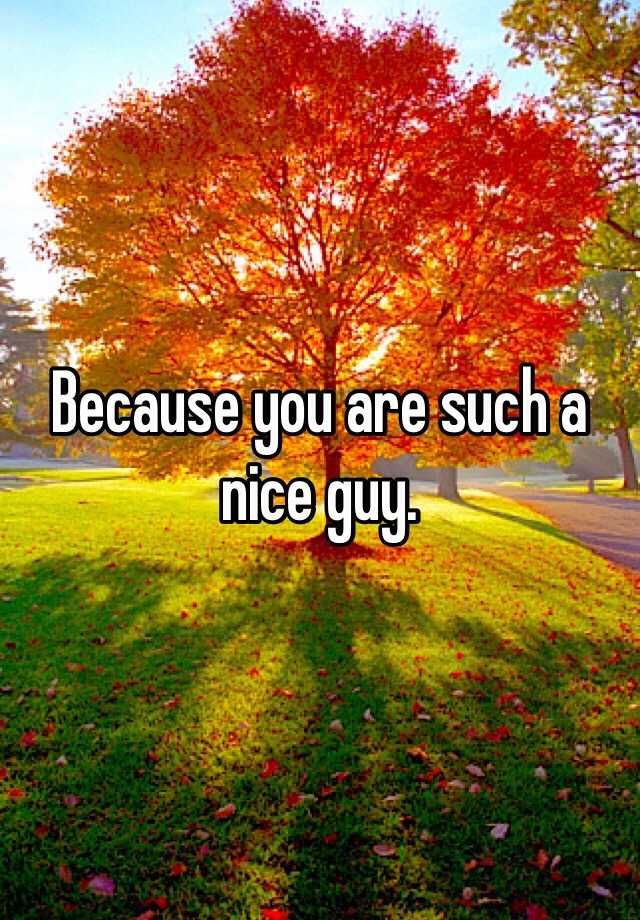 because-you-are-such-a-nice-guy