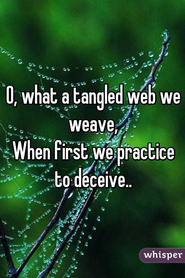 O, what a tangled web we weave,
When first we practice to deceive..