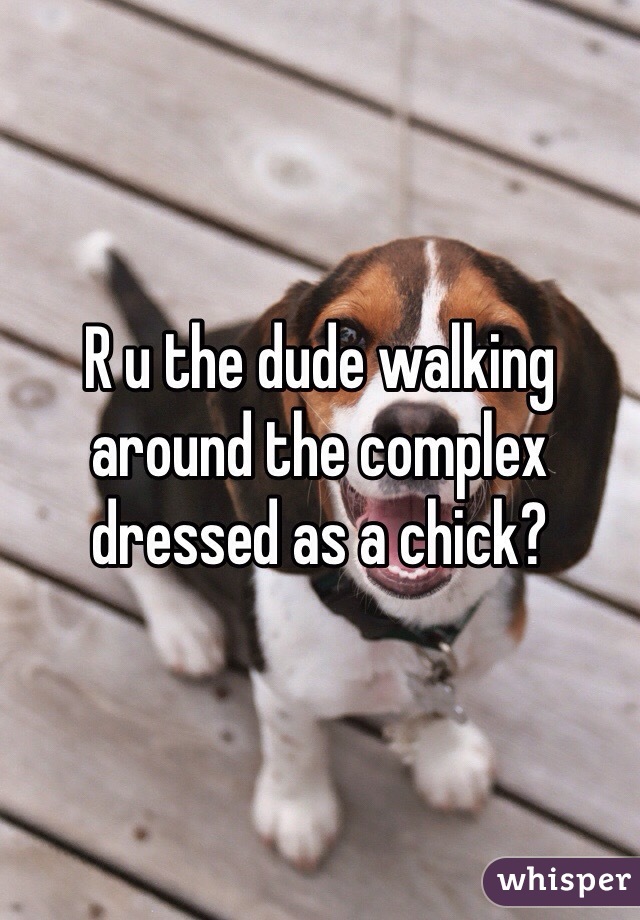 R u the dude walking around the complex dressed as a chick?