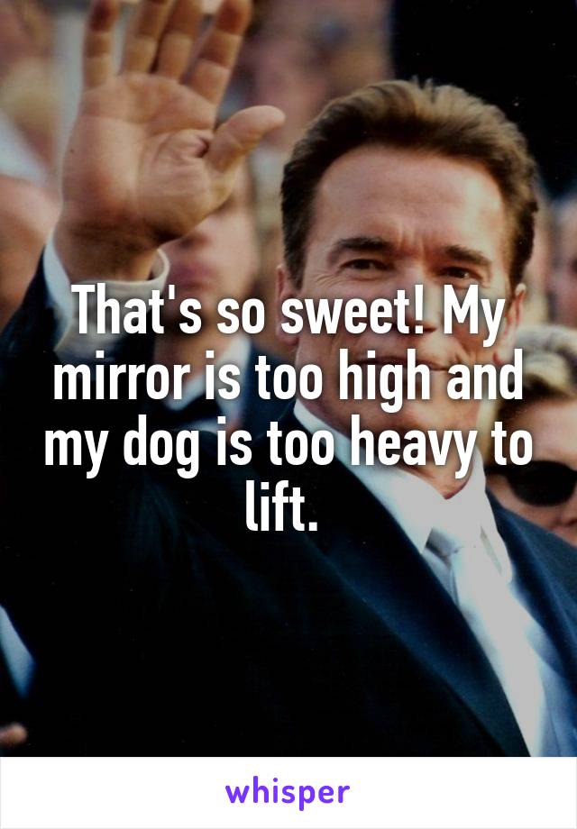 That's so sweet! My mirror is too high and my dog is too heavy to lift. 