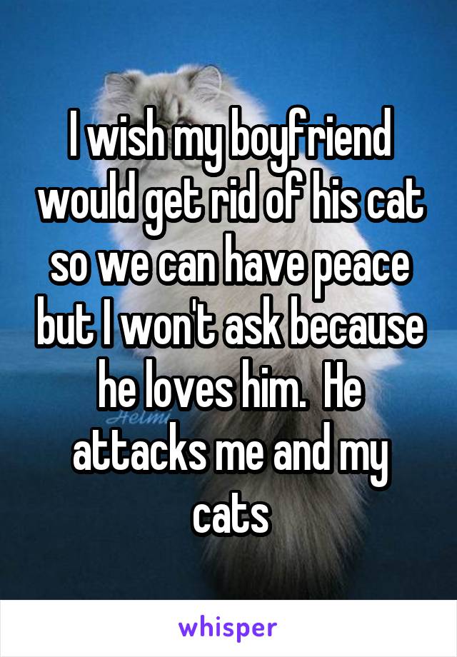 I wish my boyfriend would get rid of his cat so we can have peace but I won't ask because he loves him.  He attacks me and my cats