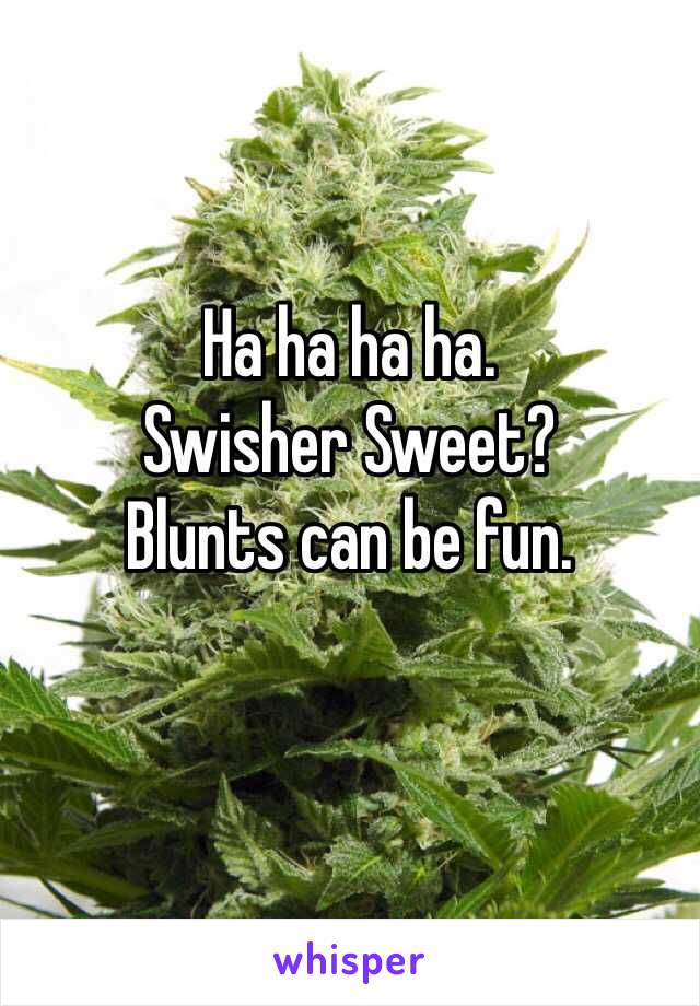 Ha ha ha ha. 
Swisher Sweet?
Blunts can be fun. 
 