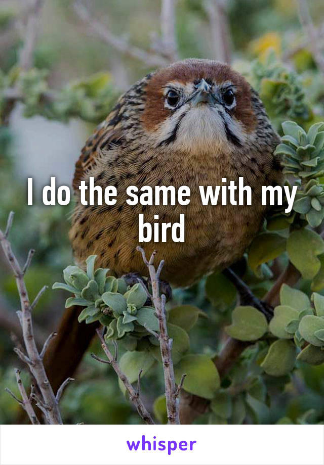 I do the same with my bird

