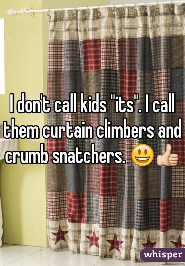 I don't call kids "its". I call them curtain climbers and crumb snatchers. 😃👍