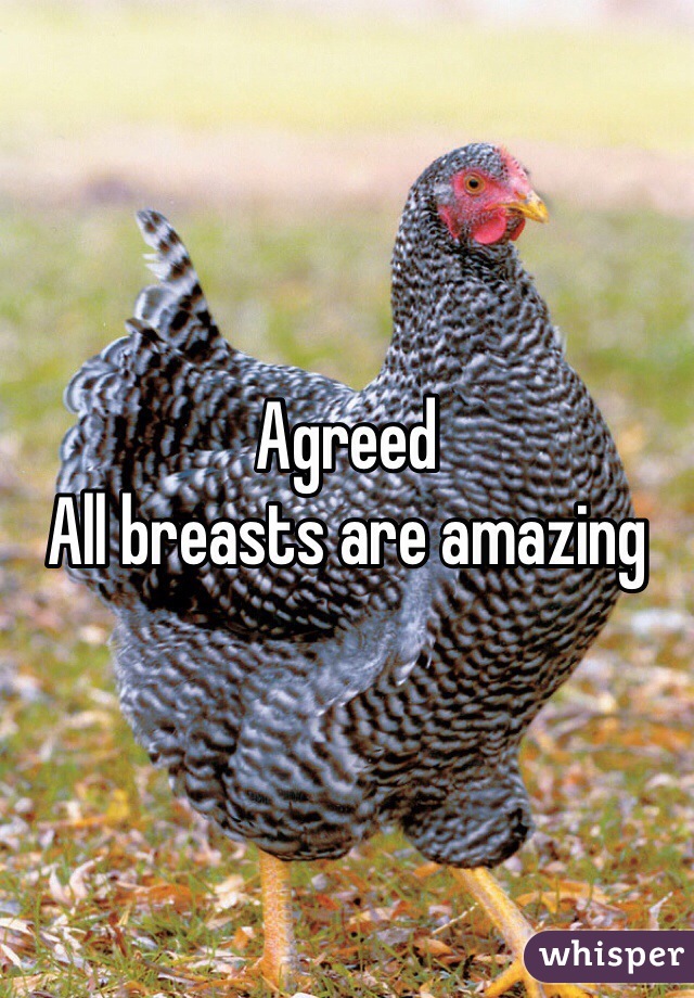 Agreed
All breasts are amazing