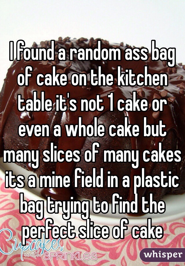 I found a random ass bag of cake on the kitchen table it's not 1 cake or even a whole cake but many slices of many cakes its a mine field in a plastic bag trying to find the perfect slice of cake