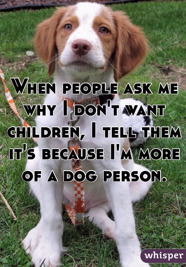 When people ask me why I don't want children, I tell them it's because I'm more of a dog person. 