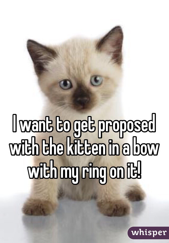 I want to get proposed with the kitten in a bow with my ring on it!