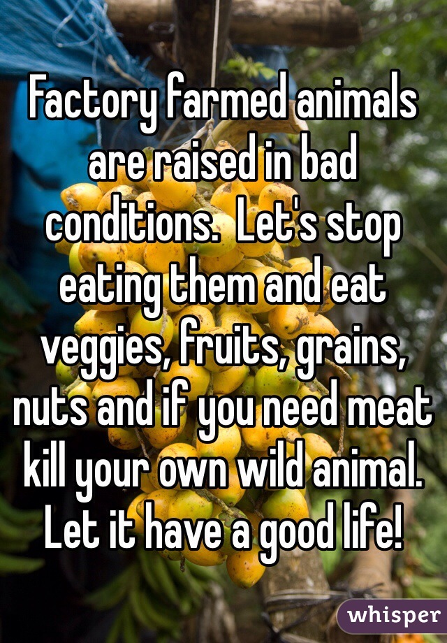 Factory farmed animals are raised in bad conditions.  Let's stop eating them and eat veggies, fruits, grains, nuts and if you need meat kill your own wild animal.  Let it have a good life! 