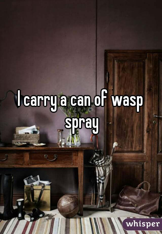I carry a can of wasp spray