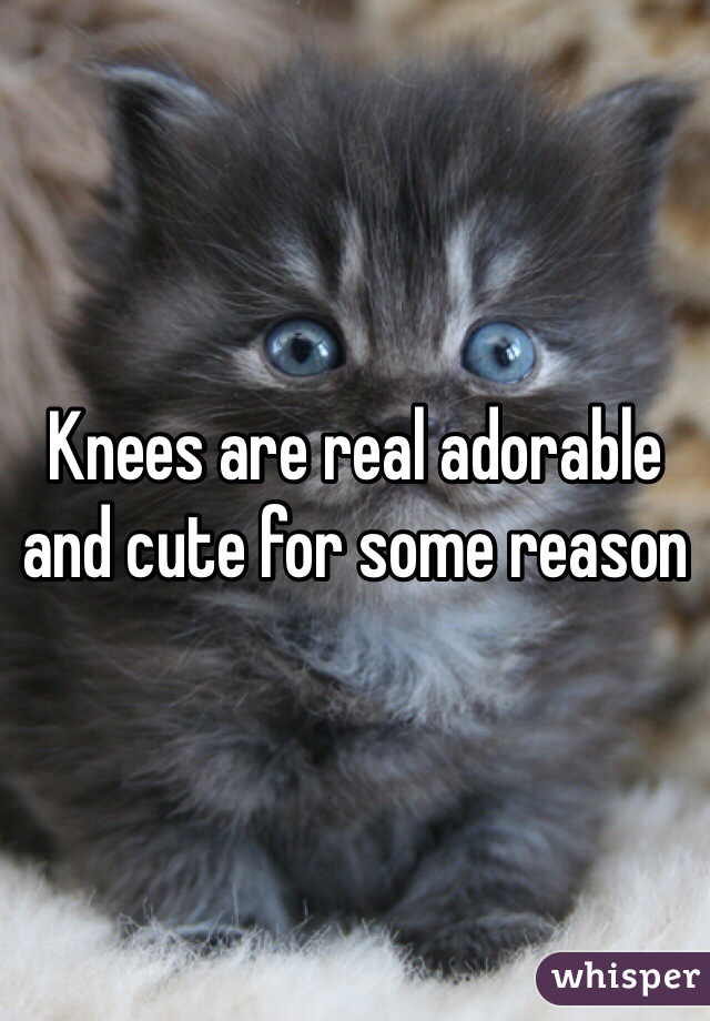 Knees are real adorable and cute for some reason