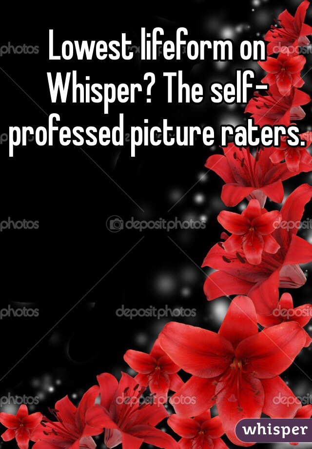 Lowest lifeform on Whisper? The self-professed picture raters. 