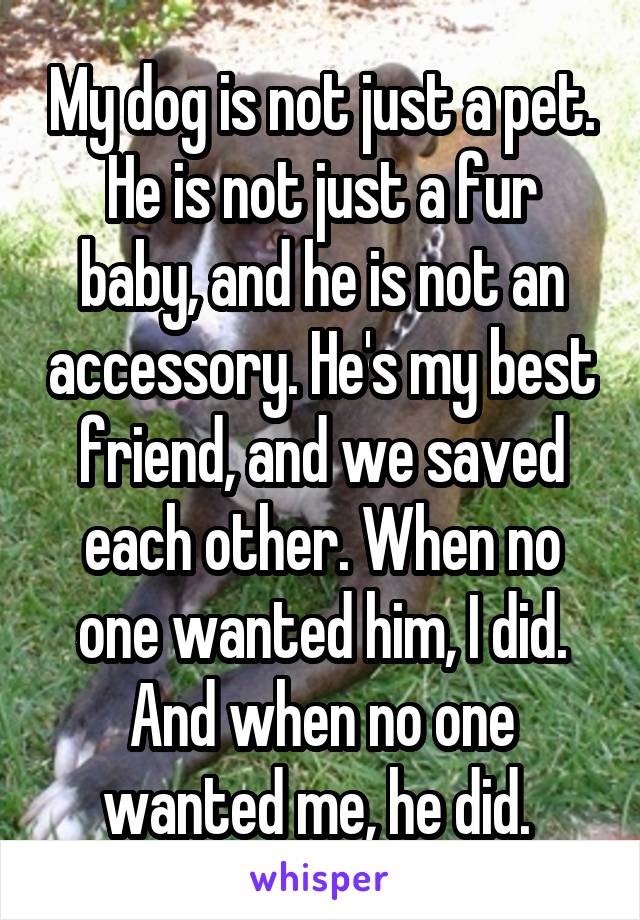 My dog is not just a pet. He is not just a fur baby, and he is not an accessory. He's my best friend, and we saved each other. When no one wanted him, I did. And when no one wanted me, he did. 