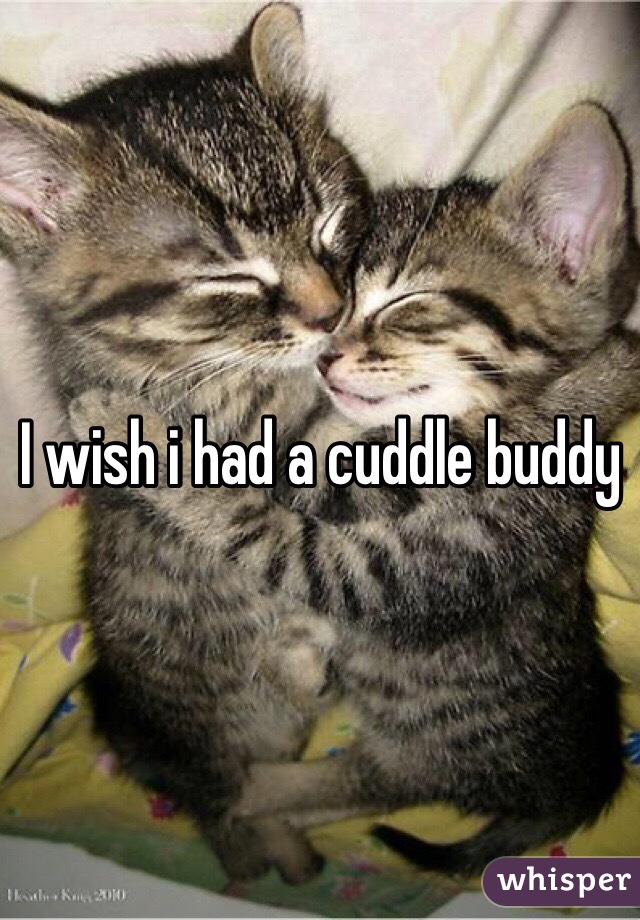 I wish i had a cuddle buddy