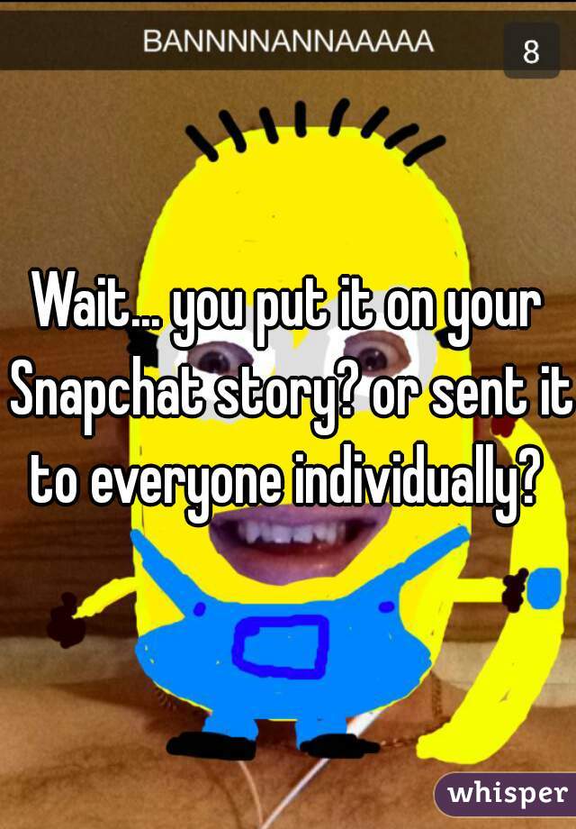 Wait... you put it on your Snapchat story? or sent it to everyone individually? 