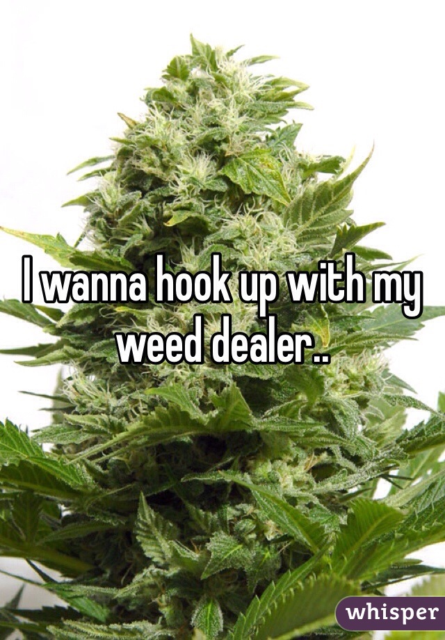 I wanna hook up with my weed dealer..