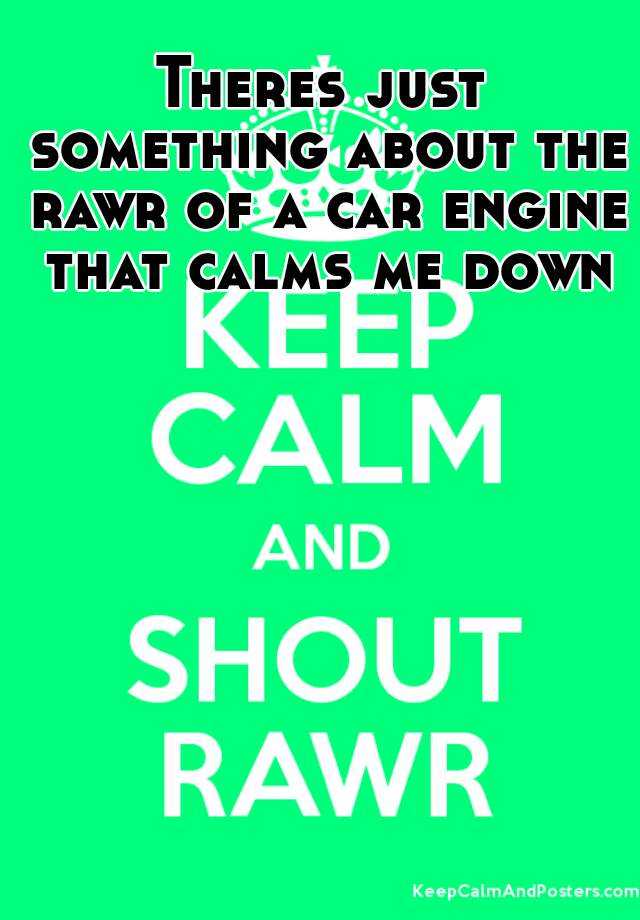 theres-just-something-about-the-rawr-of-a-car-engine-that-calms-me-down