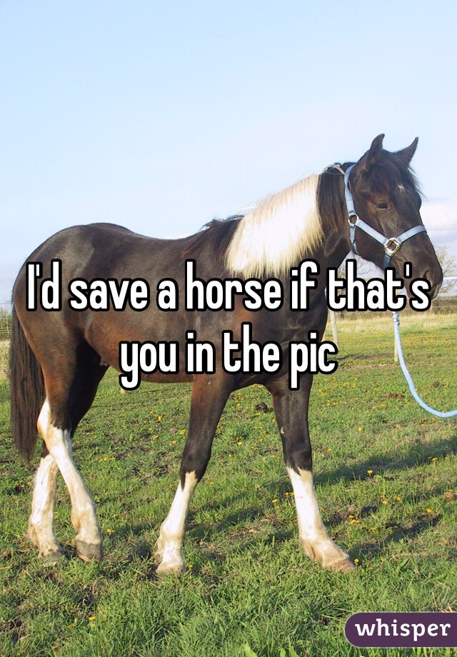 I'd save a horse if that's you in the pic 
