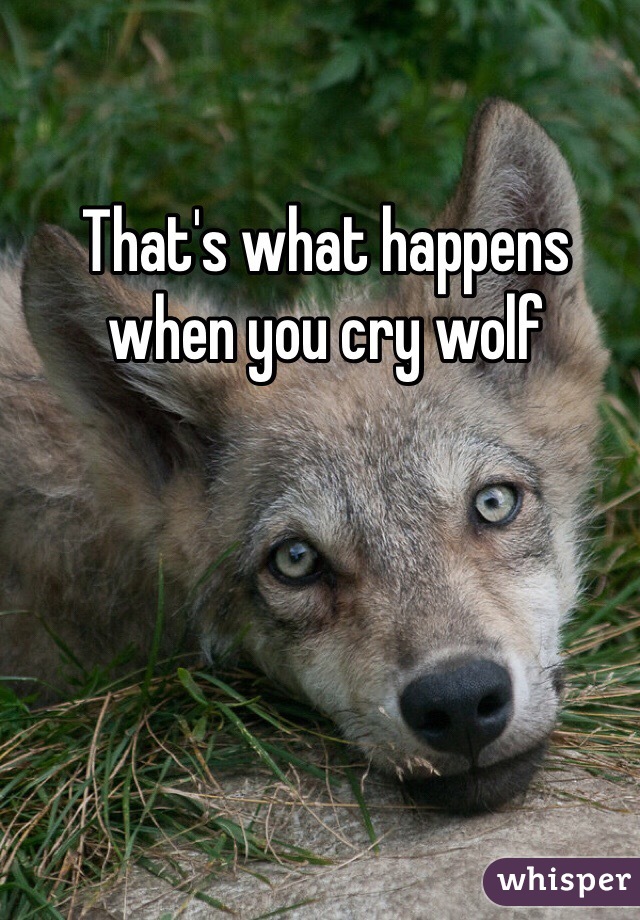 That's what happens when you cry wolf