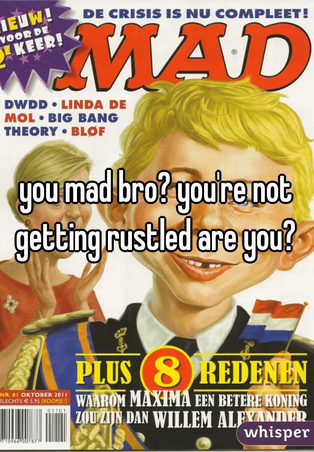 you mad bro? you're not getting rustled are you? 