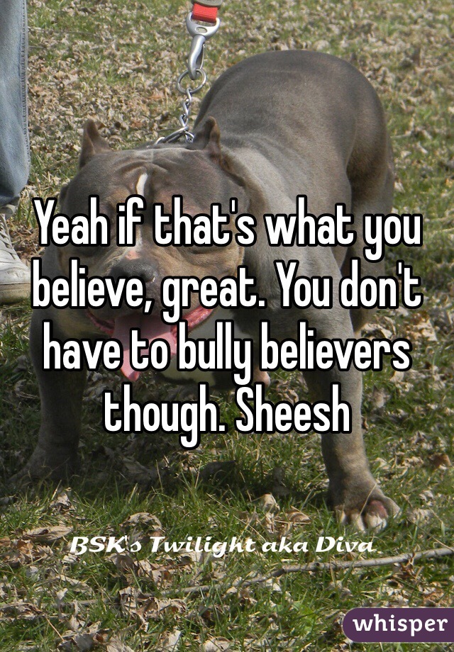 Yeah if that's what you believe, great. You don't have to bully believers though. Sheesh 