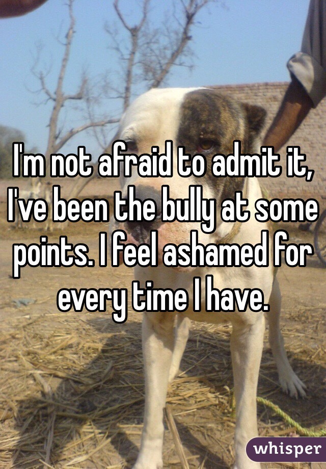 I'm not afraid to admit it, I've been the bully at some points. I feel ashamed for every time I have.