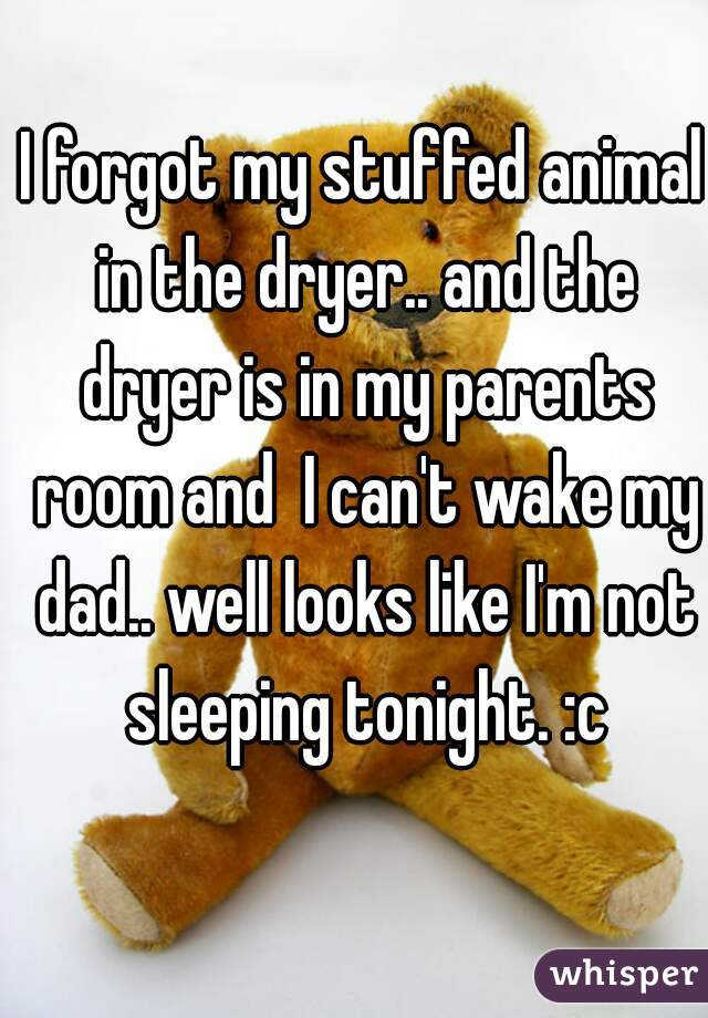 I forgot my stuffed animal in the dryer.. and the dryer is in my parents room and  I can't wake my dad.. well looks like I'm not sleeping tonight. :c