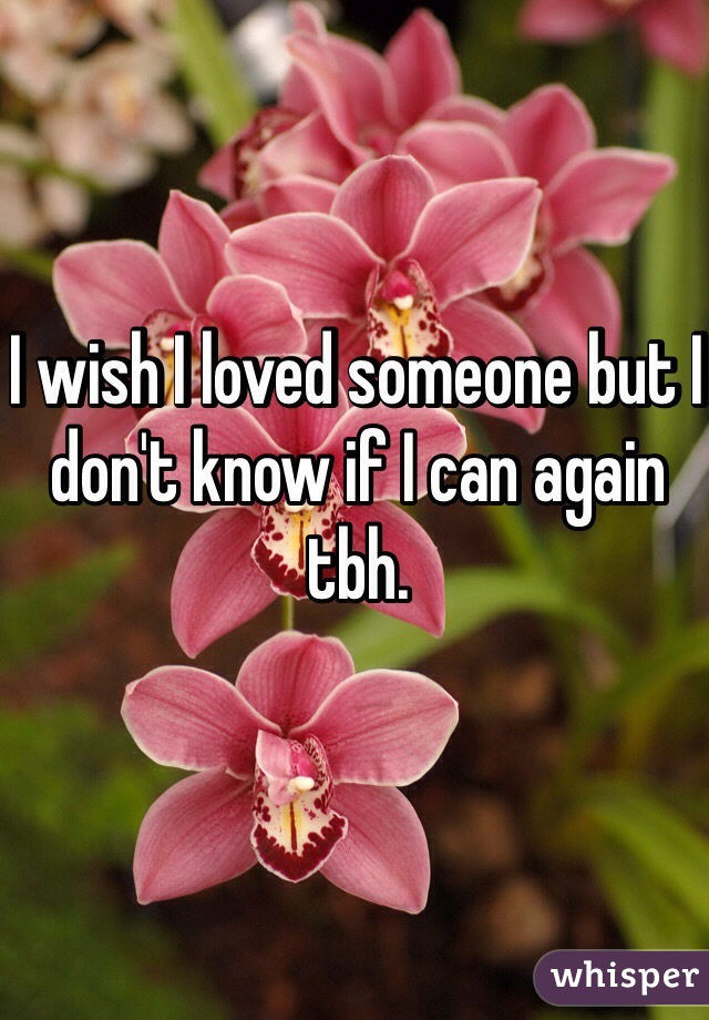 I wish I loved someone but I don't know if I can again tbh. 