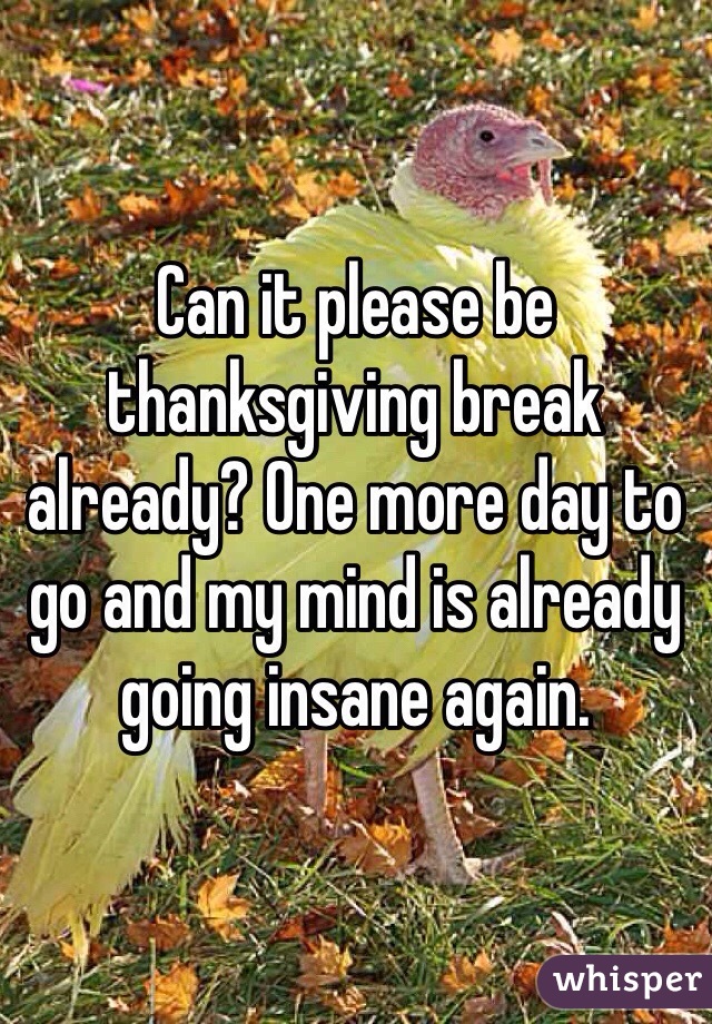 Can it please be thanksgiving break already? One more day to go and my mind is already going insane again.