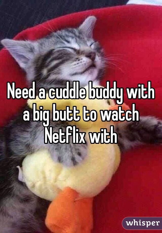 Need a cuddle buddy with a big butt to watch Netflix with 