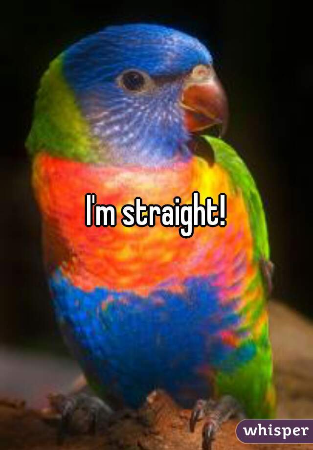 I'm straight!
