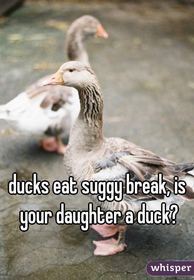 ducks eat suggy break, is your daughter a duck?