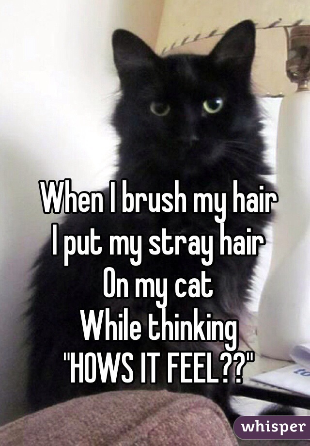 When I brush my hair
I put my stray hair 
On my cat 
While thinking 
"HOWS IT FEEL??" 