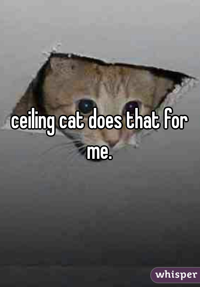 ceiling cat does that for me. 