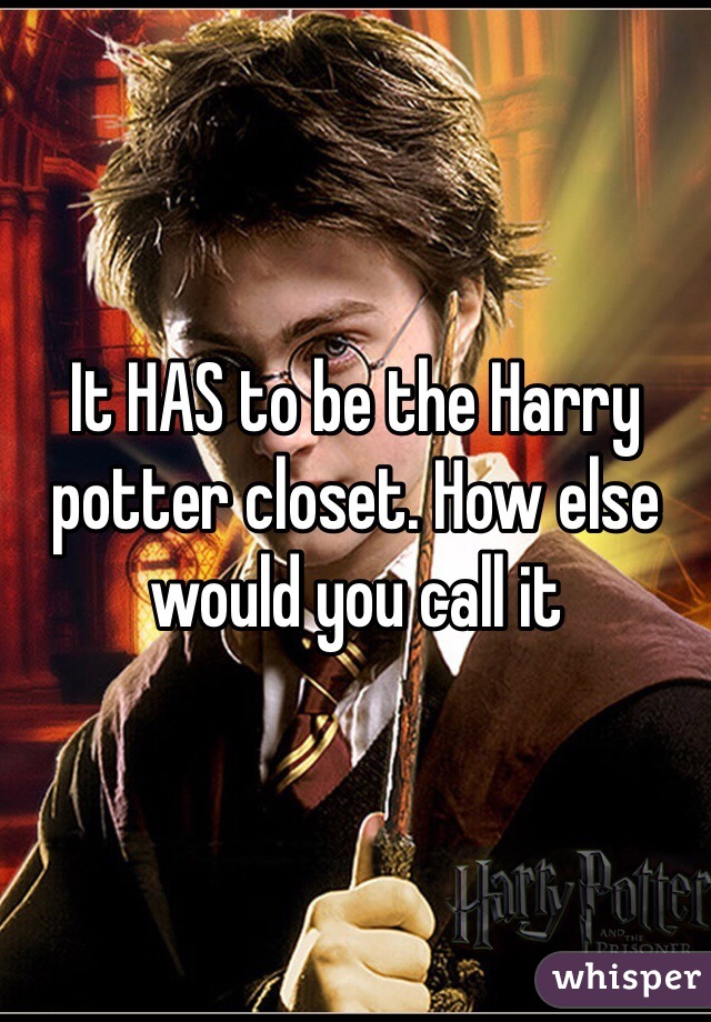 It HAS to be the Harry potter closet. How else would you call it