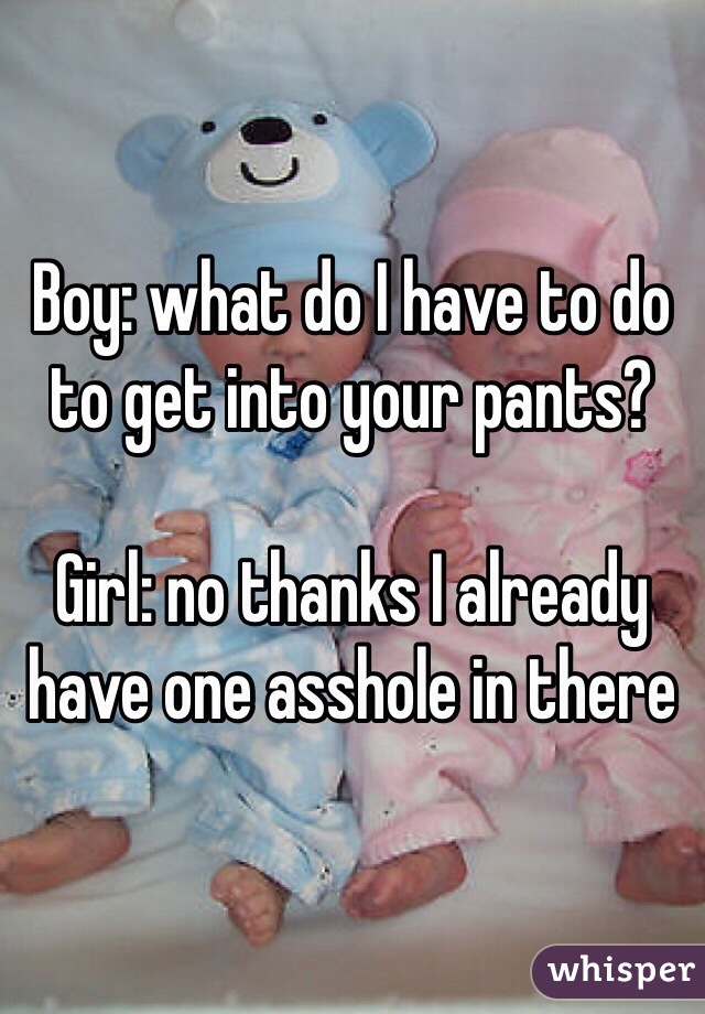 Boy: what do I have to do to get into your pants?

Girl: no thanks I already have one asshole in there 